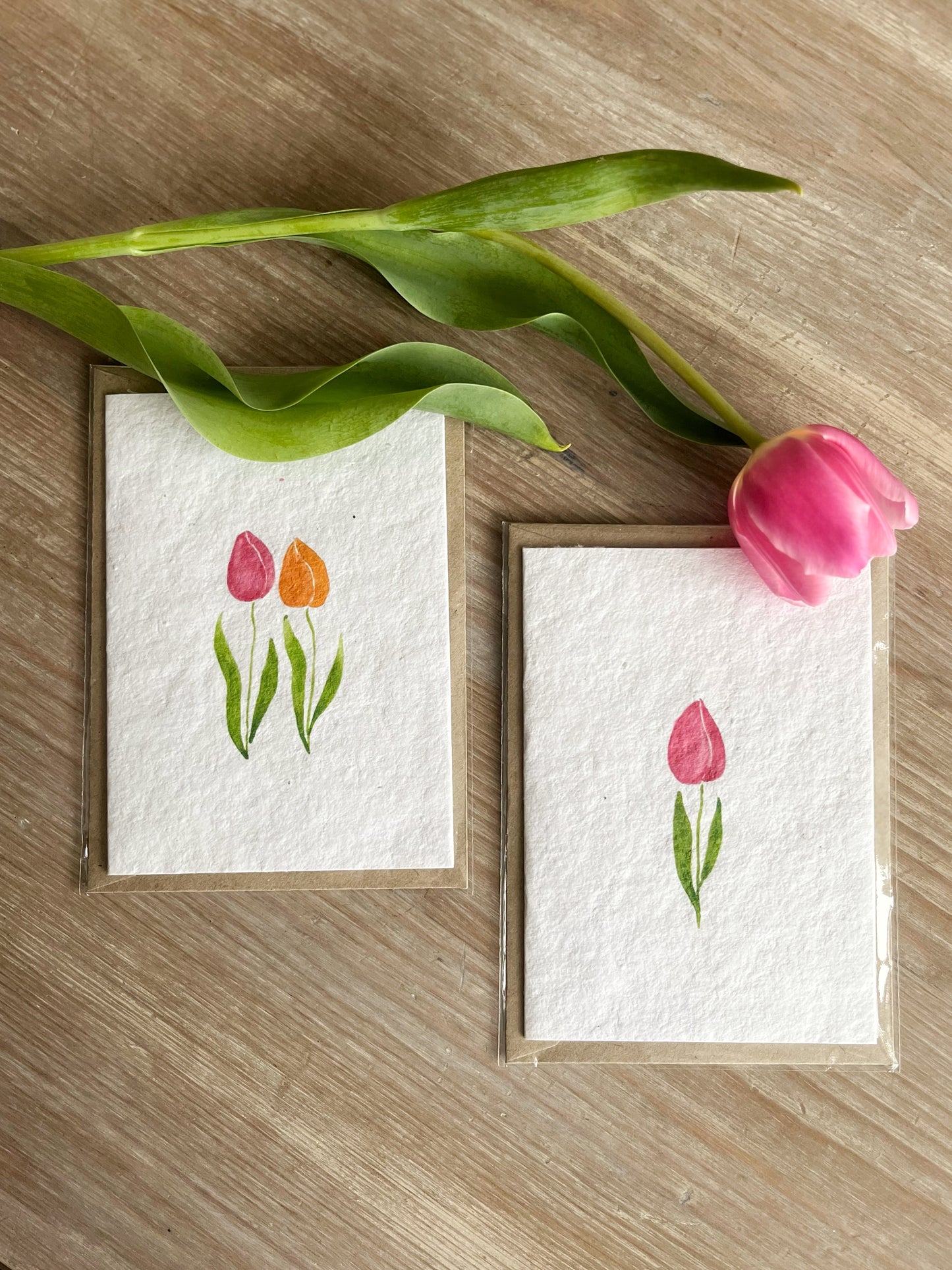 Tulip Duo - Wildflower Seeded Greeting Card