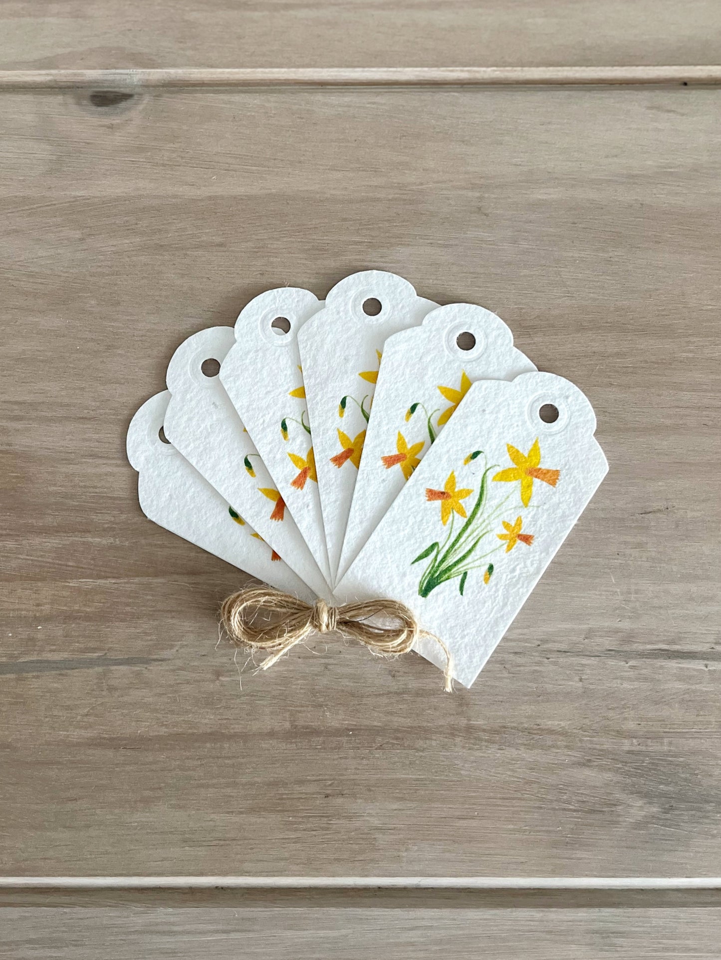 Daffodil - Wildflower Seeded Gift Tags | Pack of 6