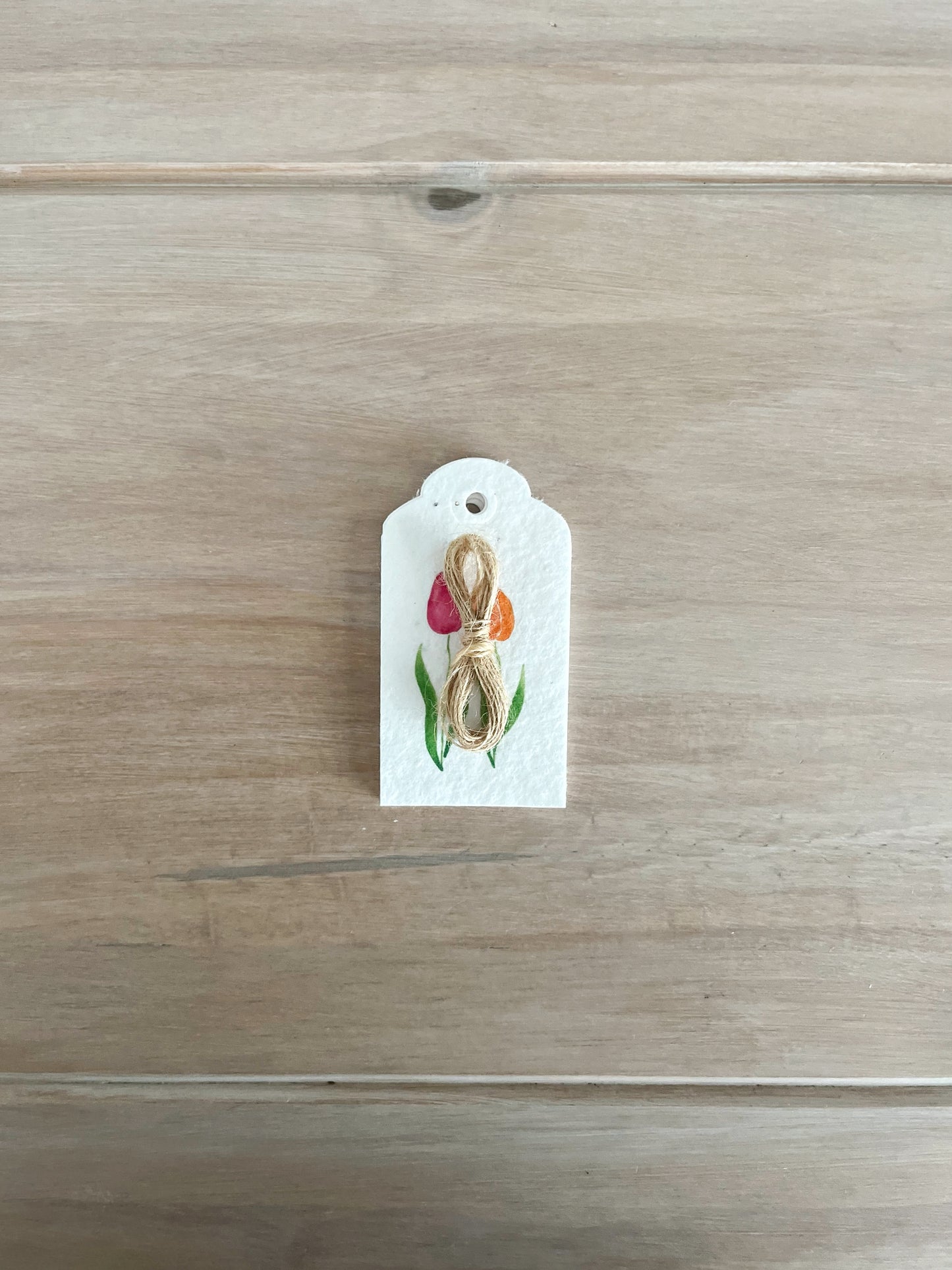 Tulips - Wildflower Seeded Gift Tags | Pack of 6 or 12