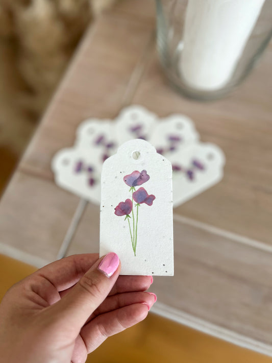 Sweetpea - Wildflower Seeded Gift Tags | Pack of 6
