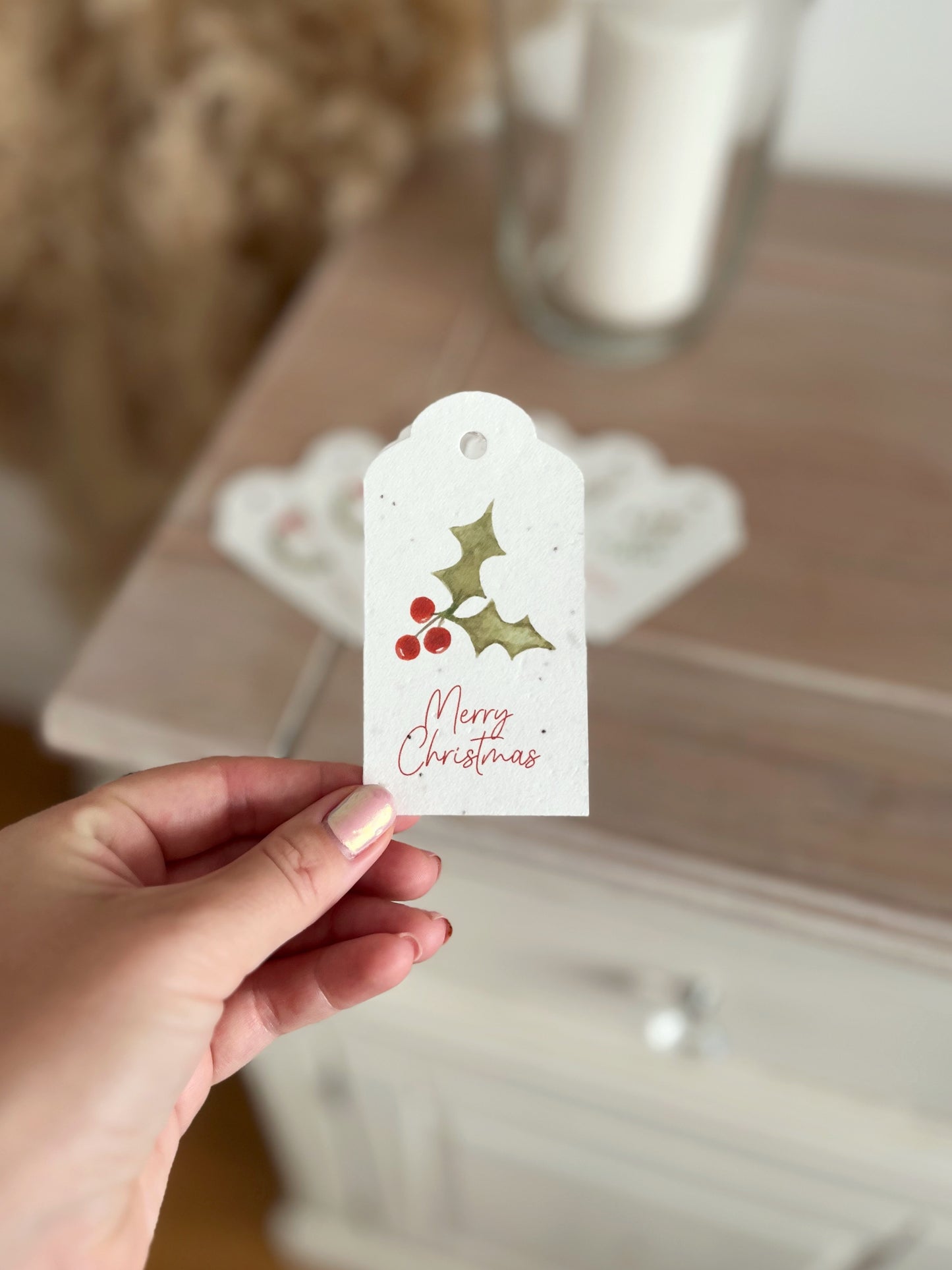 Christmas Gift Tags - Set of 6 Seeded