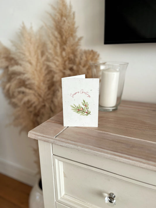 Christmas Spruce with Robin - Wildflower Seeded Gift Card