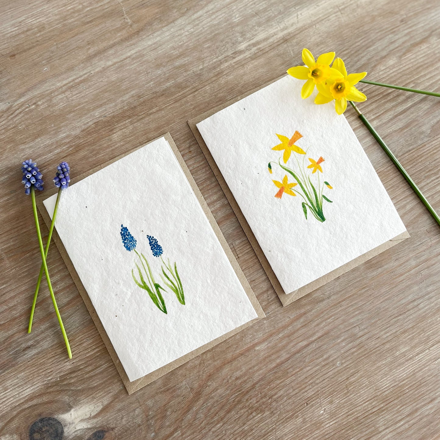 Muscari & Daffodil Duo - Wildflower Seeded Greeting Card