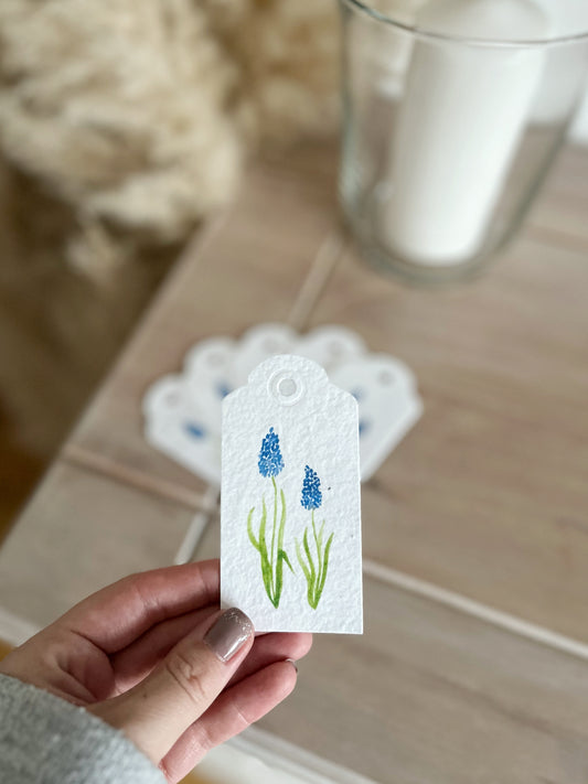 Muscari - Wildflower Seeded Gift Tags | Pack of 6