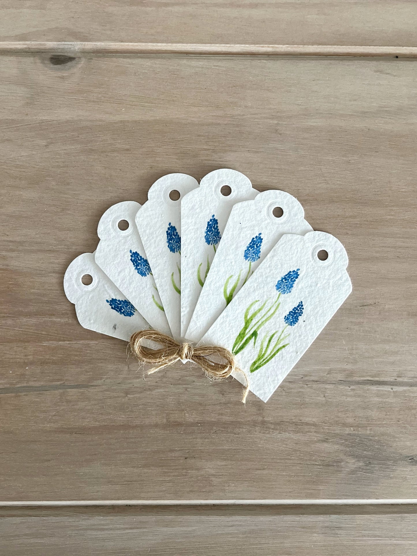 Muscari - Wildflower Seeded Gift Tags | Pack of 6
